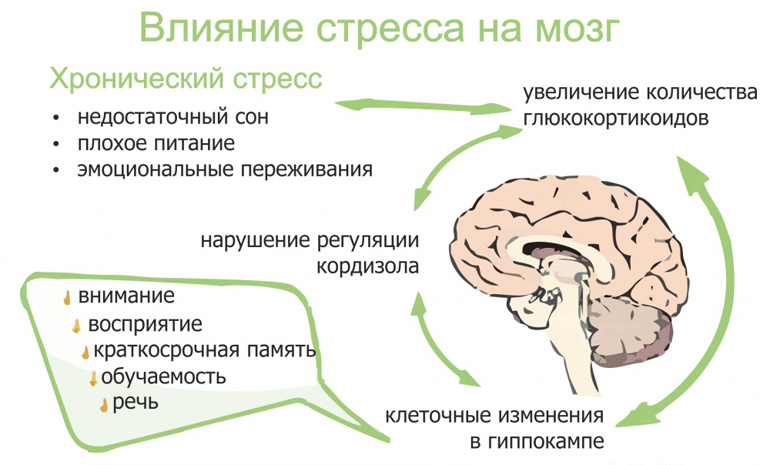 Что такое стресс