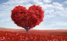 Настоящая любовь. Где ее искать?