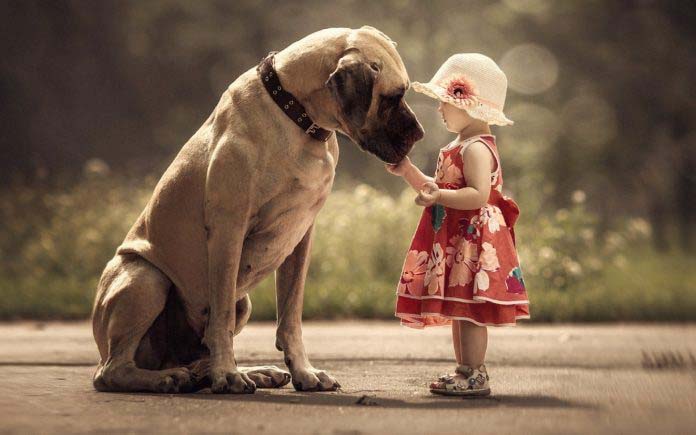 Характер людей родившихся в год собаки - Детальный разбор