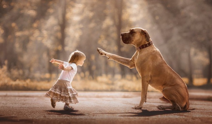 Характер людей родившихся в год собаки - Детальный разбор