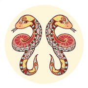 Знак зодиака Близнецы